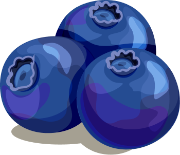 Borówka Amerykańska Logo